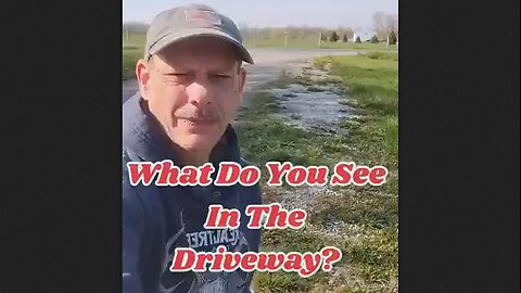 Many Weeds Are Medicinal - Driveway Apothecary