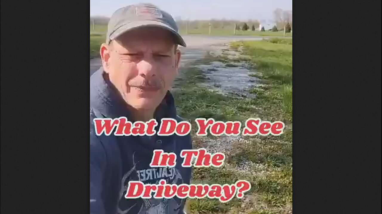 Many Weeds Are Medicinal - Driveway Apothecary