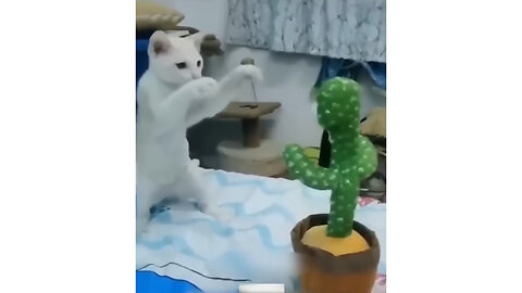 Funny animals videos 😅