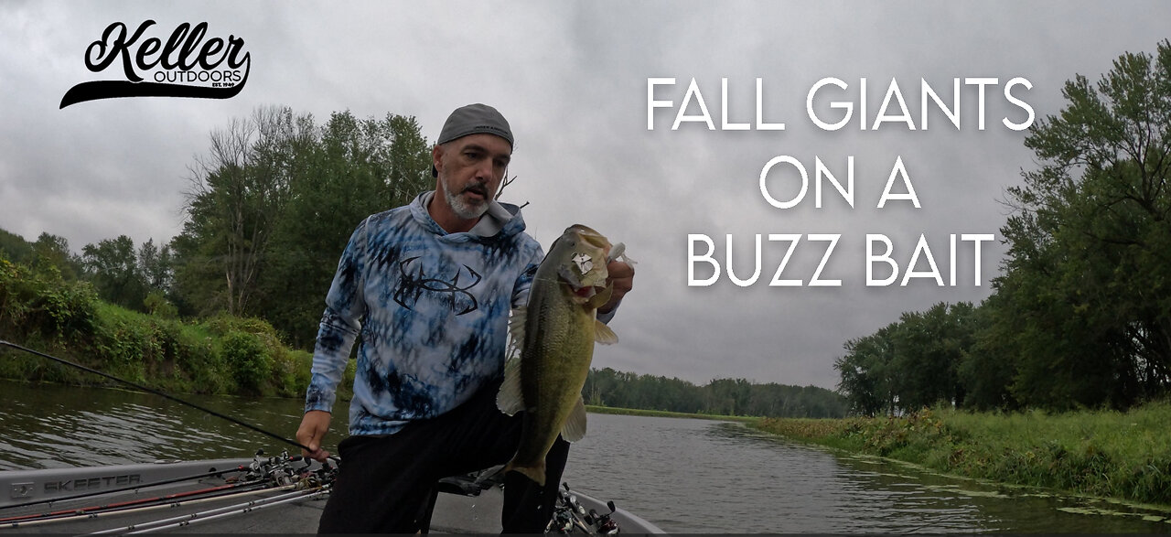 Monster buzzbait blowups (Tournament practice)