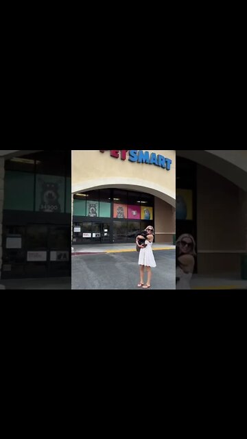 Rottweiler Puppy Vet Visit #Shorts #rottweiler #dogs