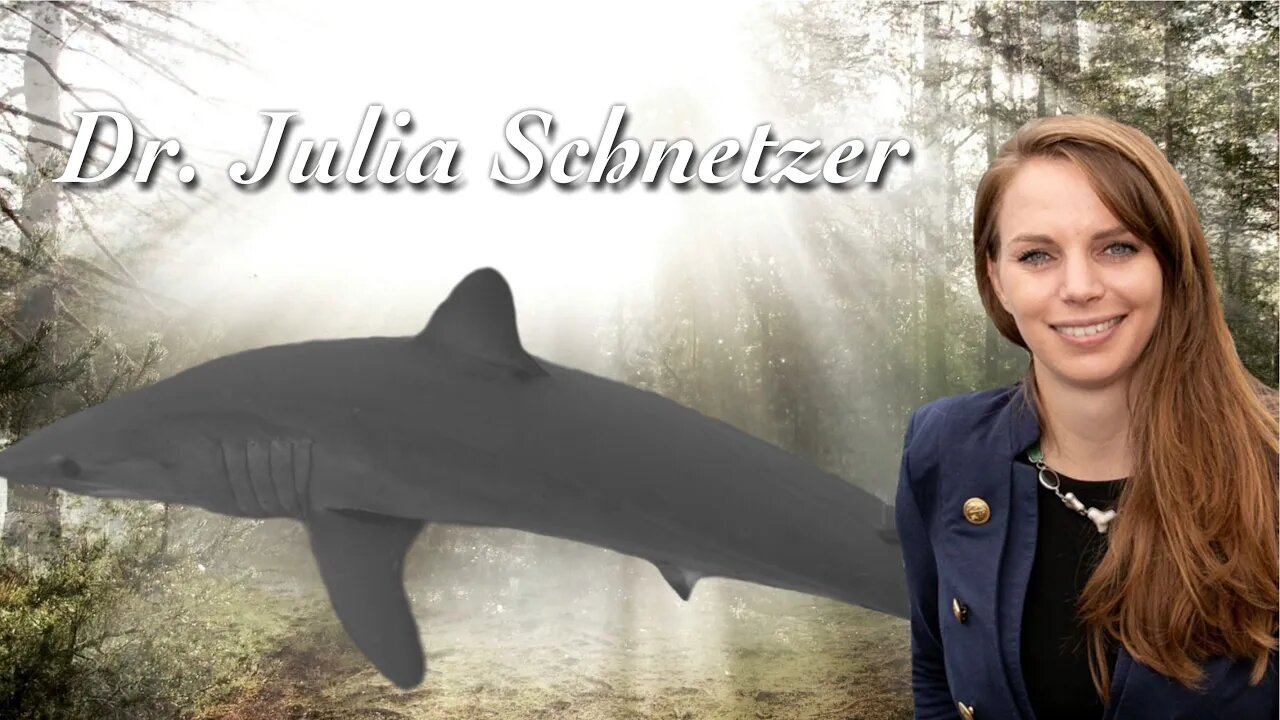 Insekten im Meer - Dr. Julia Schnetzer