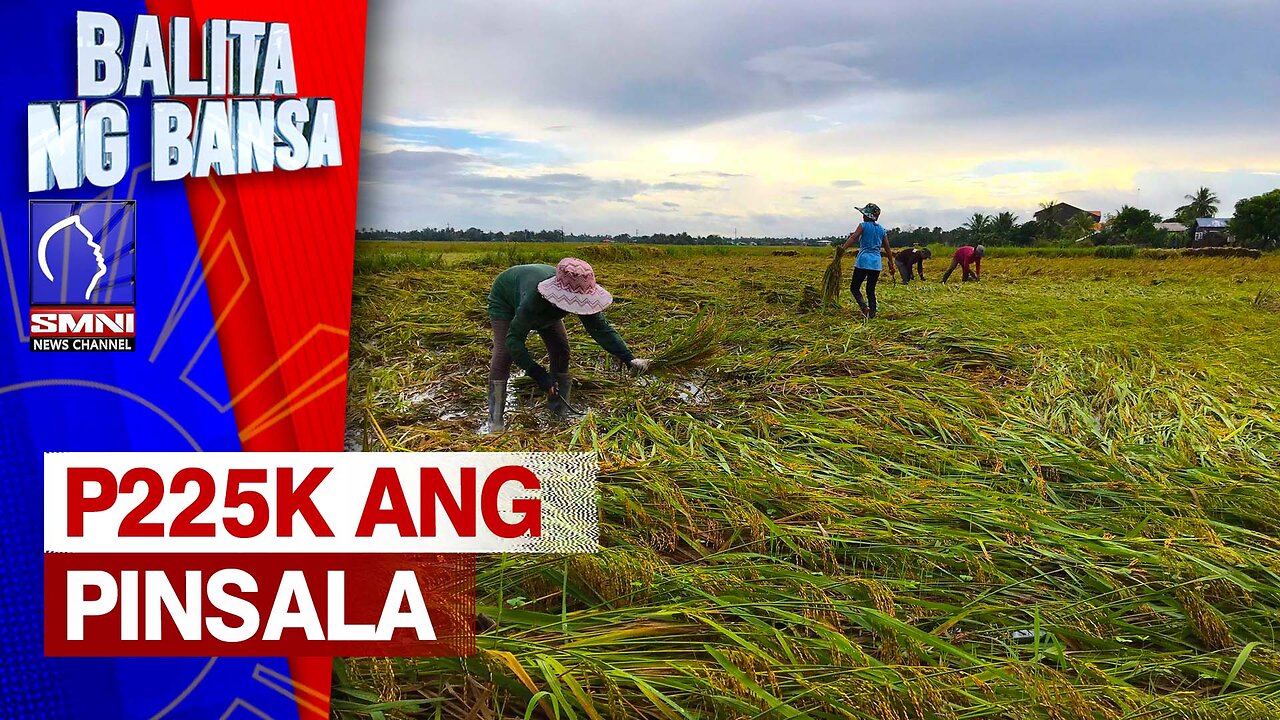 Inisyal na pinsala sa sektor ng agrikultura dahil sa Bagyong Egay, pumalo na sa P225K - DA