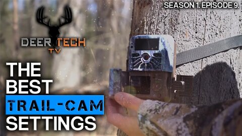 The Best Trail Camera Setup