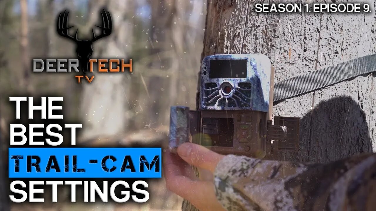 The Best Trail Camera Setup