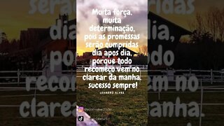 Muita determinaçao.