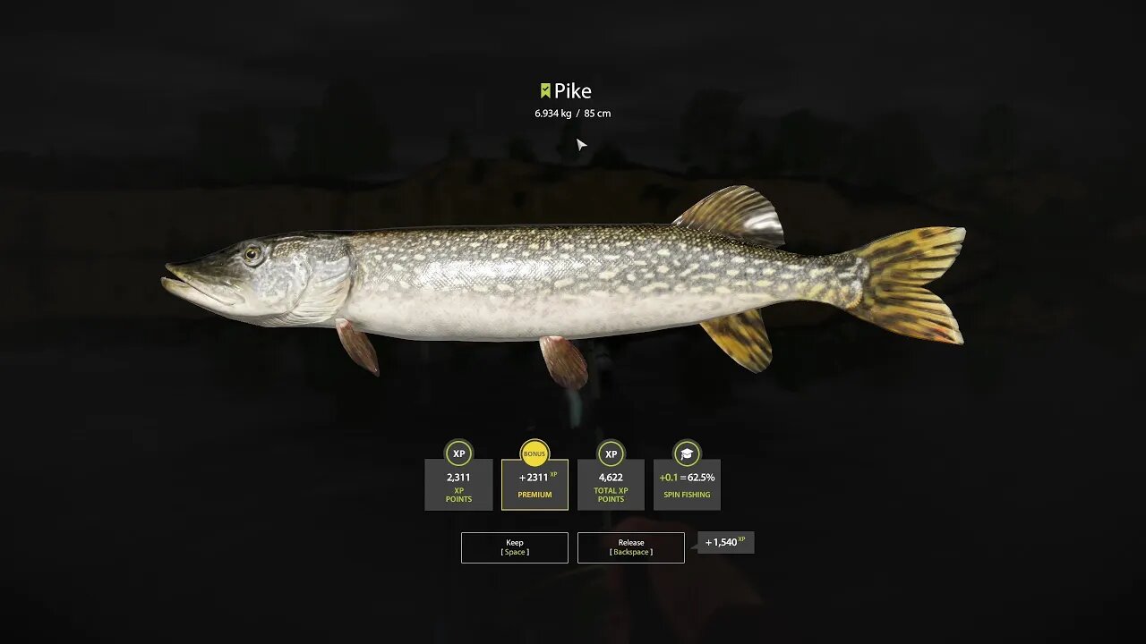 Russian Fishing 4 Volkhov River Pike 6 . 934 Kg