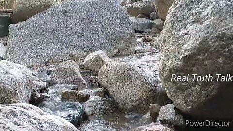 Real Truth Talk 💯