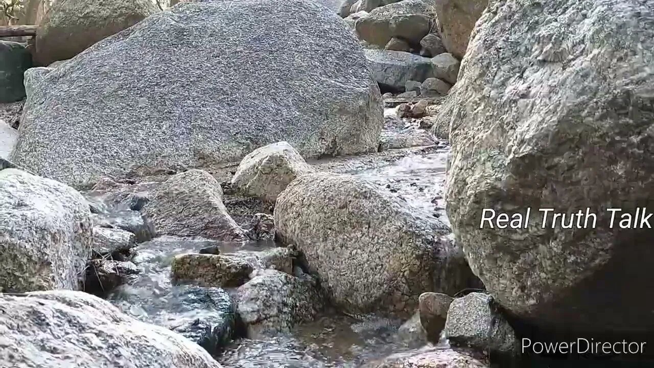 Real Truth Talk 💯