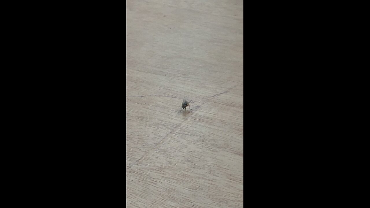 No one is so small