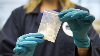 Drug Harm Reduction Programs Could Help Weaken The Fentanyl Crisis