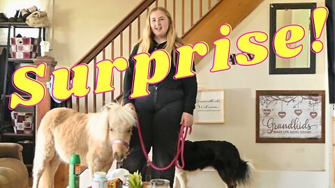 Shocked To Find A Horse In My House On Mothers Day!