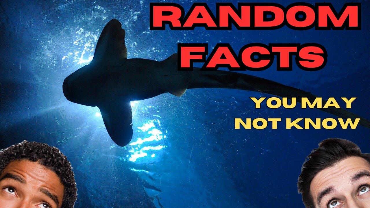 CRAZY FACTS That Blow Your Mind!