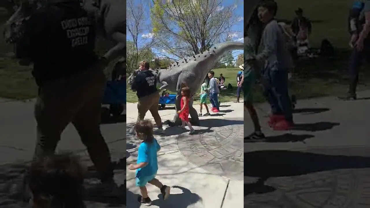 Dinosaurs in Albuquerque!