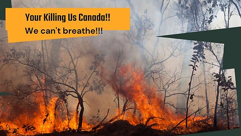 Your Killing Us, Canada!!!