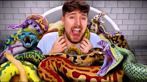 Would you sit in a snake for $10,000