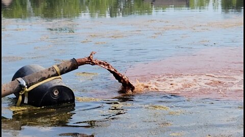 Homeowners furious after beloved Novi lake turns orange, has traces of dangerous chemicals