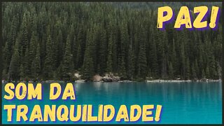 Música relaxante! Paz imedita! Durma já! Descanse, medite, estude, ore!