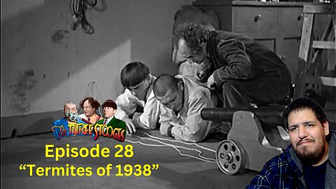 The Three Stooges | Termites of 1938 | Episode 28 | Reaction