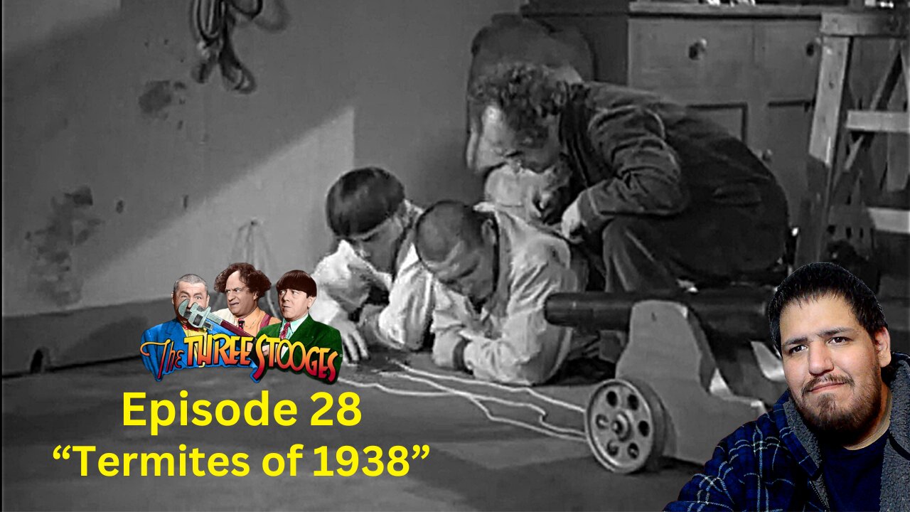 The Three Stooges | Termites of 1938 | Episode 28 | Reaction