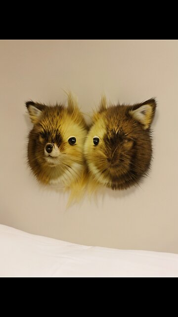 AI art: shit hamsters 💩 🐹