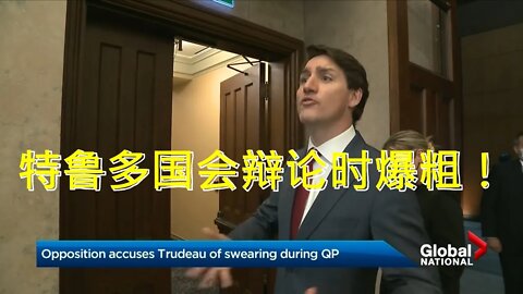 聚焦国会辩论 006期 // 特鲁多国会辩论爆粗！Trudeau dropped an F-Bomb in Parliament.