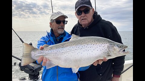 Huge Lake Ontario Brown Trout with ReelSilver Charters