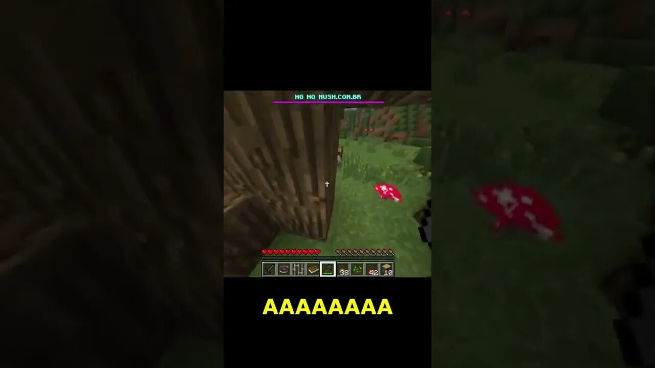 O LAG não deixava eu jogar MINECRAFT