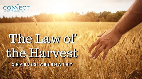 "The Law of the Harvest" - Charles Abernathy - 8/18/2022