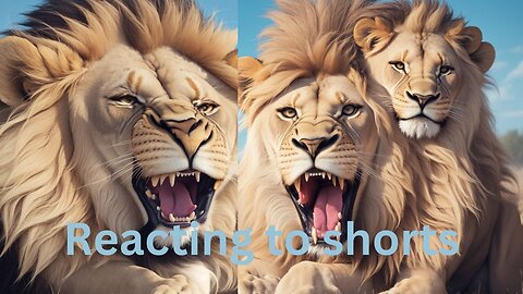 Reacting to shorts Comedy and Entertainment begins funny #short #shorts #shortsfeed #shortvideo