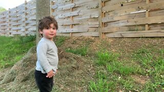 Grant hearing puppies through the fence￼