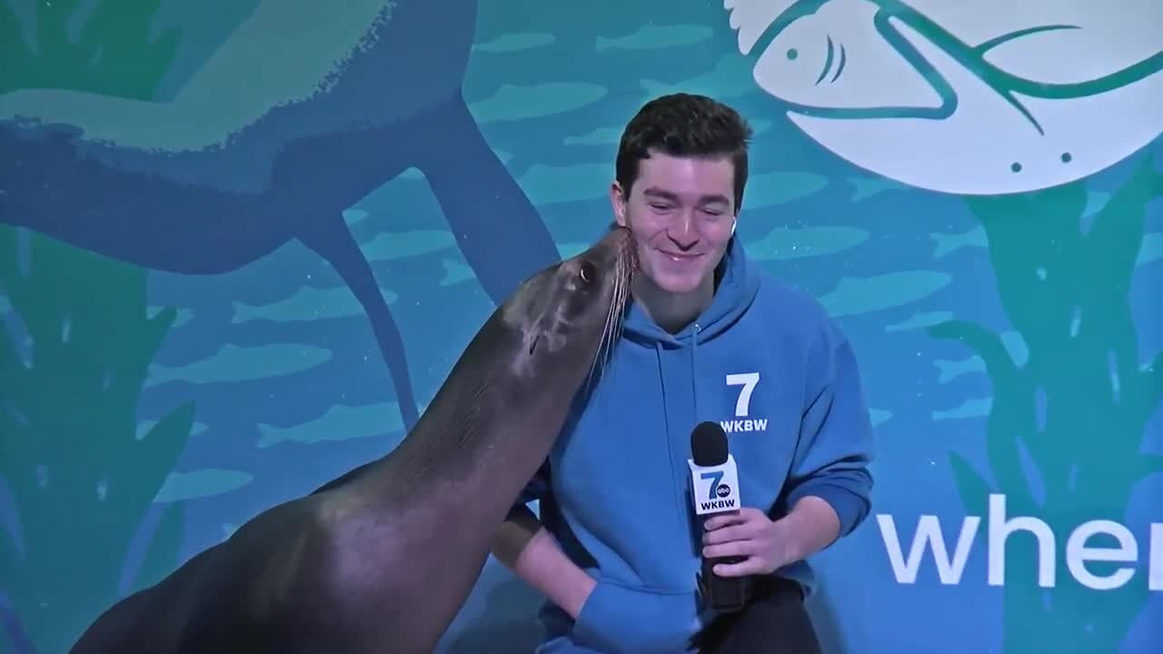 Indoor family fun at the Aquarium of Niagara