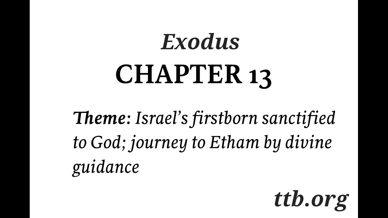 Exodus Chapter 13 (Bible Study)