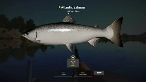 Russian Fishing 4 Volkhov River Atlantic Salmon 5.987 Kg