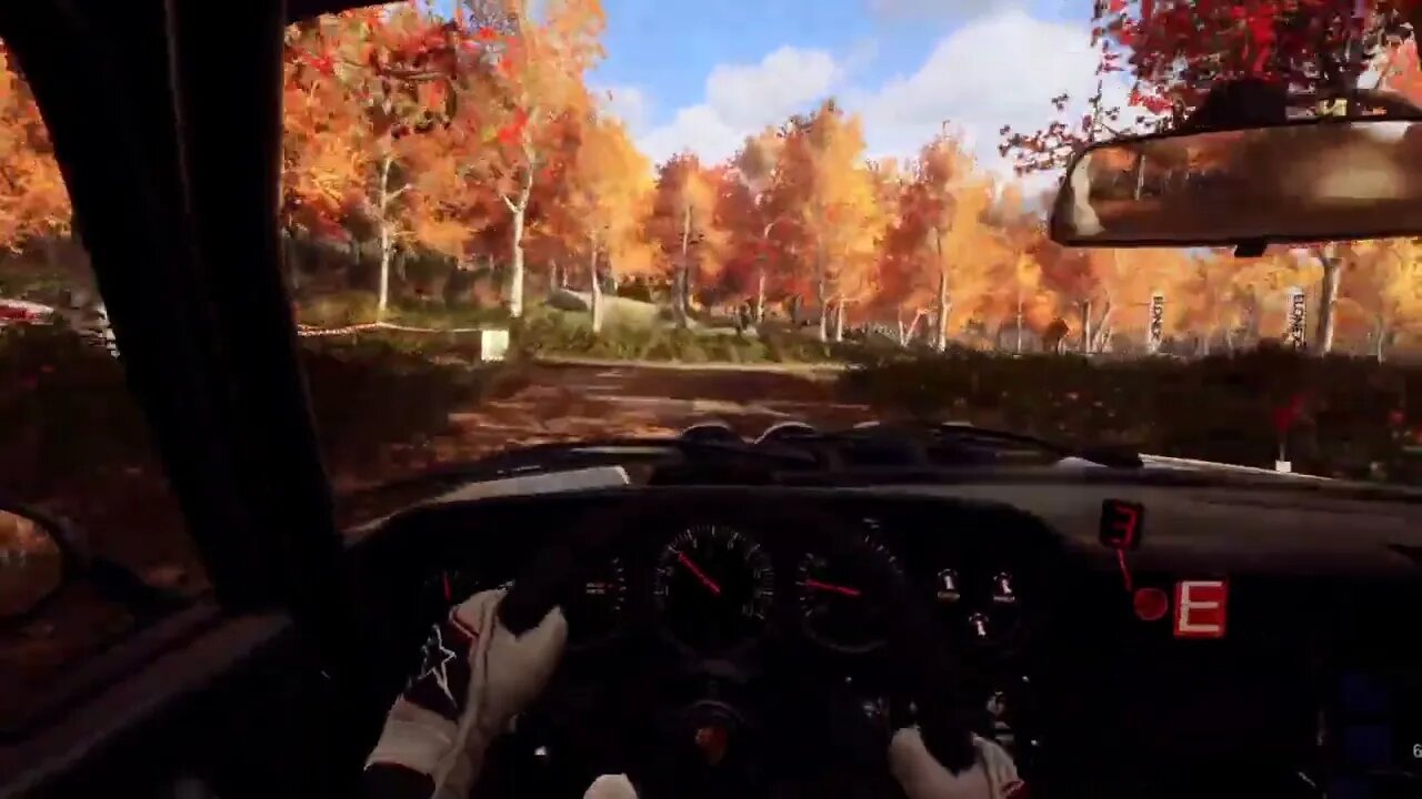 DiRT Rally 2 - 911 SC Shuttles Through Fuller Mountain