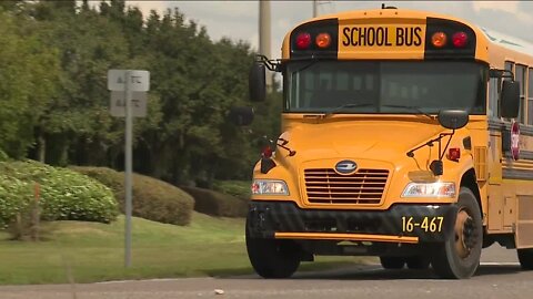 Student hit while walking to school in Polk County.