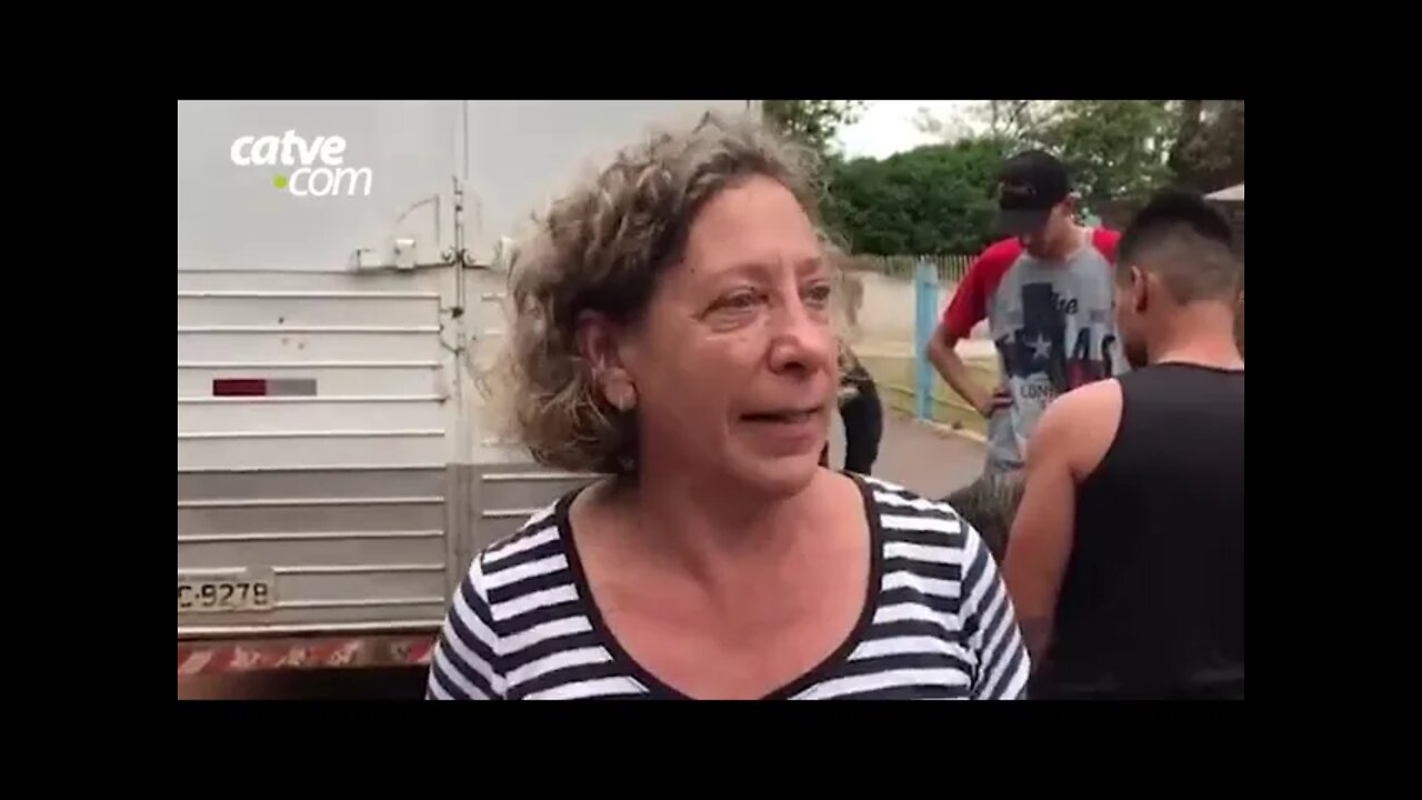 Três cavalos em situação de maus-tratos são resgatados em Cascavel