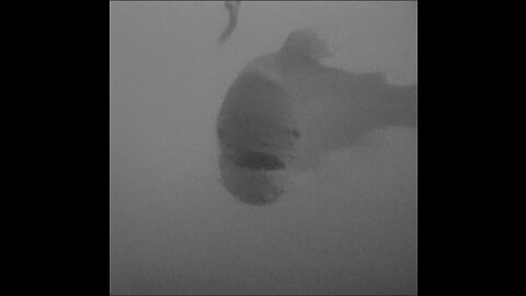 Ice Fishing - Underwater camera 220128