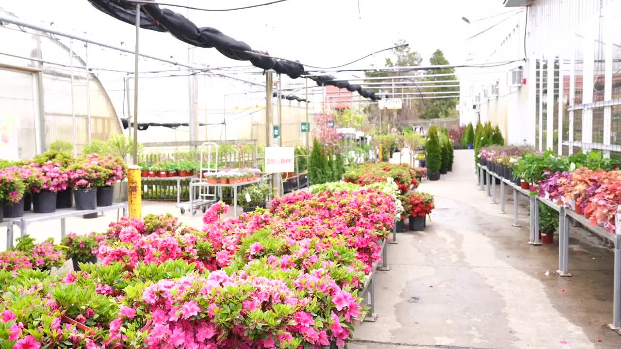 If you're fond of keeping your plants alive, Horrocks in Lansing has some tips for you