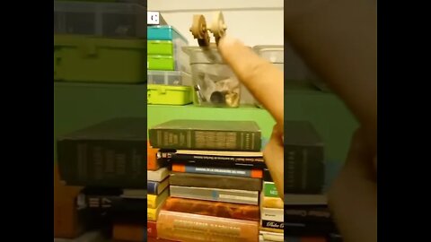 Nevo - Orden Y Libros