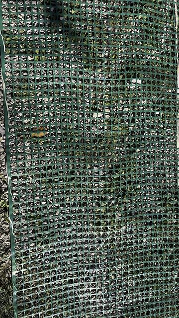 Cheap Electric Fence Hack⚡️ #ElectricFence #hacks #farm #homestead