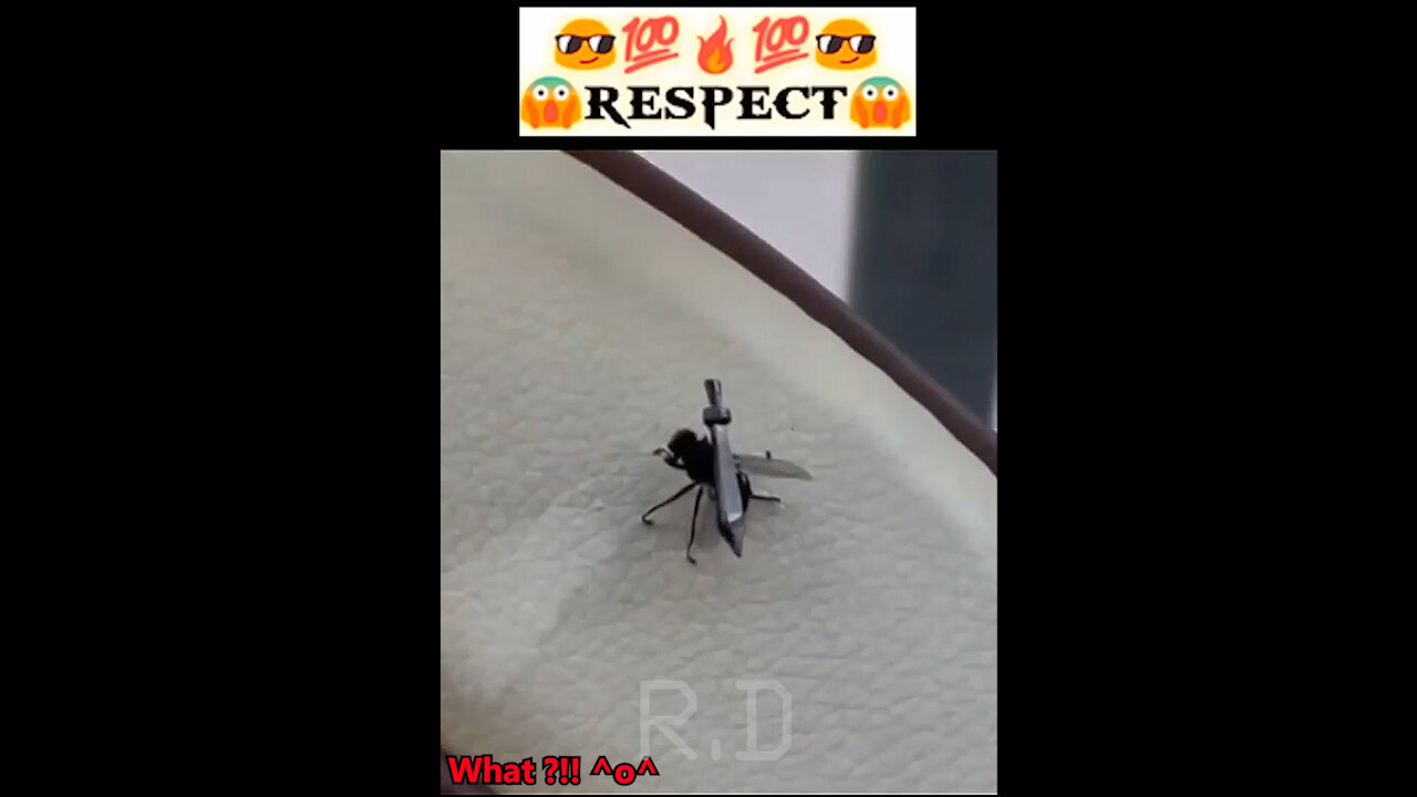 Respect || Samurai fly 😍💯🔥💯😍