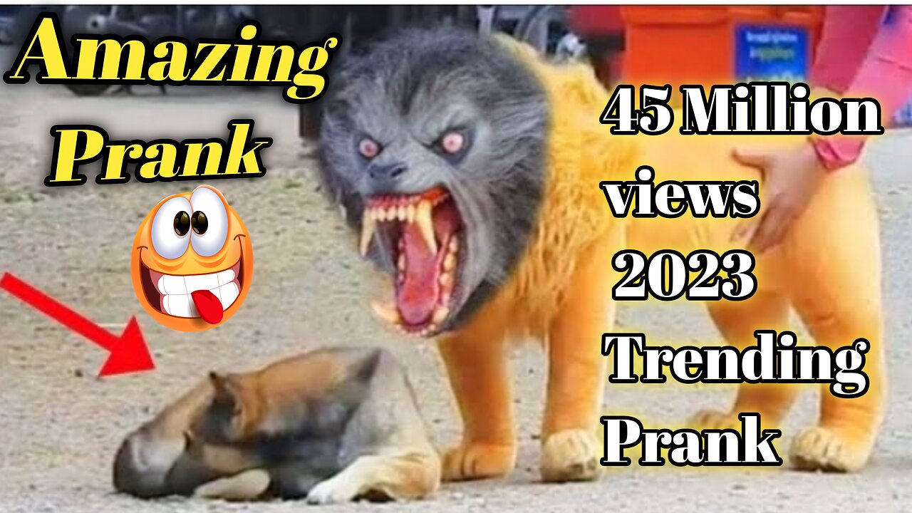 Funniest Dog Reactions of 2023 - Pets, Pranks, and More! 🐶🤣😱I Pets Island