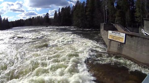 Koivukoski 29.3.2020