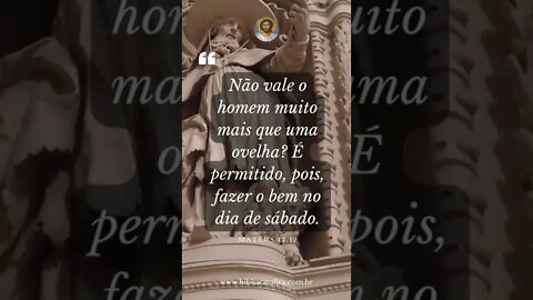 Mateus 12,12 - Não vale o homem muito mais que uma ovelha? É permitido, pois, fazer o bem no dia...
