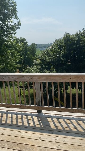 B facts will be back all next week with new videos