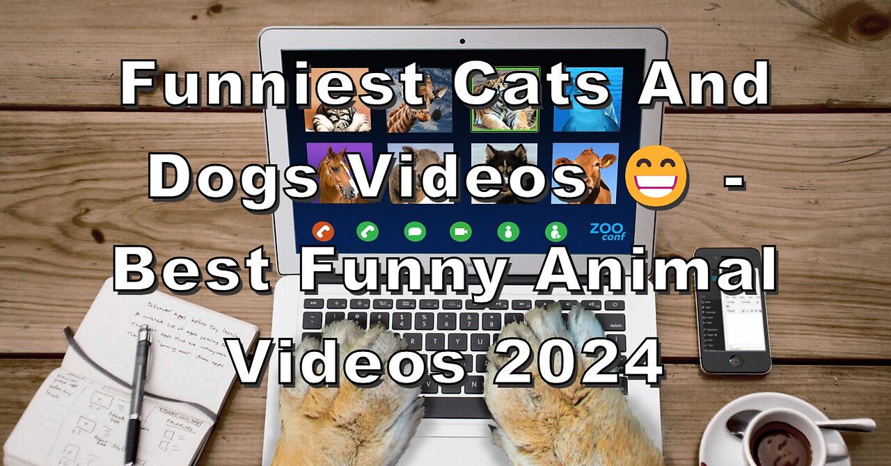 Funniest Cats And Dogs Videos 😁 - Best Funny Animal Videos 2024