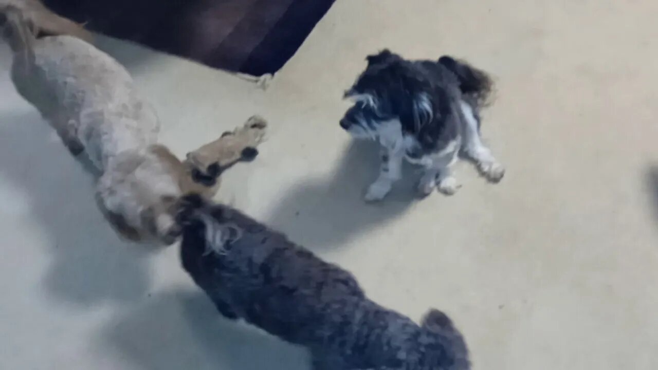 Who Is Who At Highborn?