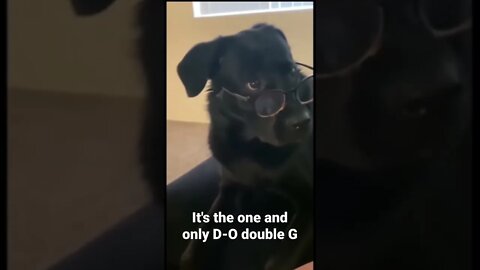 MEME is the one and only D-O double G #shorts