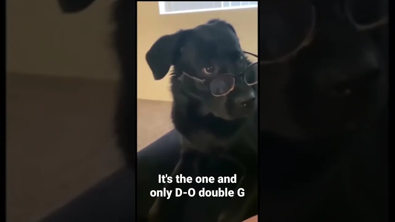 MEME is the one and only D-O double G #shorts